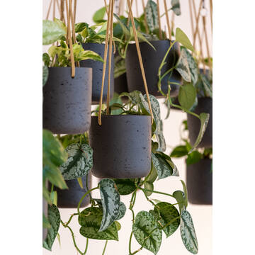 Charlie XS (hanging) Black Washed