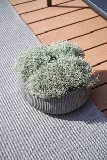 Eileen XL, Dark Grey (vert. ridg.)