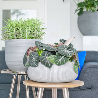 Eileen XL, Light Grey (vert. ridg.)