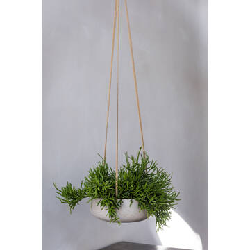 Eileen S (hanging) Grey Washed