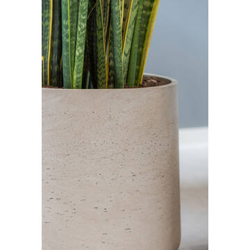 Patt M, Grey Washed