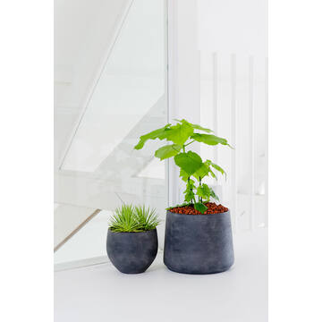 Patt XL, Black Washed