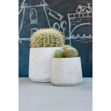 Patt XXL, Grey Washed