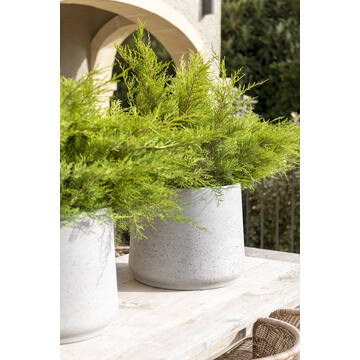 Patt XXXL, Grey Washed