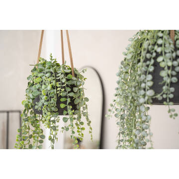 Patt S (hanging) Black Washed