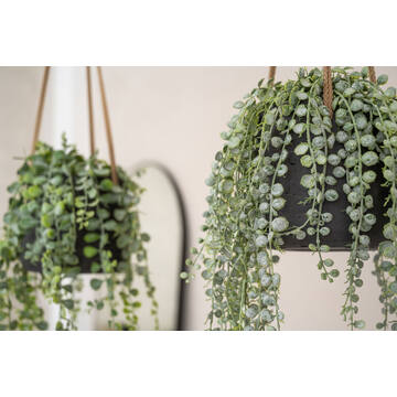 Patt M (hanging) Black Washed