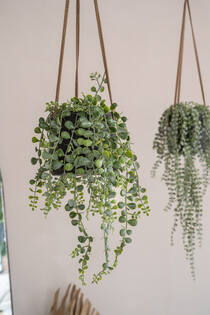 Patt M (hanging) Black Washed