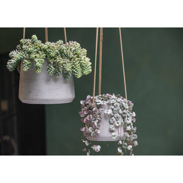 Patt M (hanging) Grey Washed