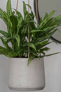 Patt L (hanging) Grey Washed