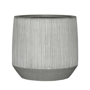Harith S, White stripe