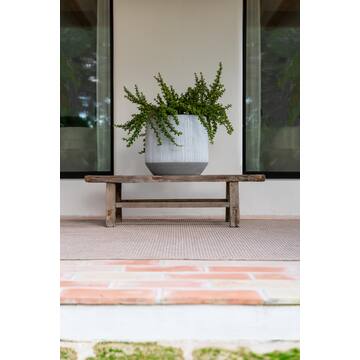 Harith L, White stripe