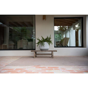 Harith L, White stripe