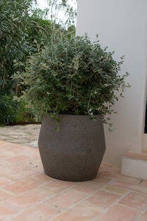 Harley S, Diorite Grey