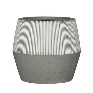 Harley L, White stripe