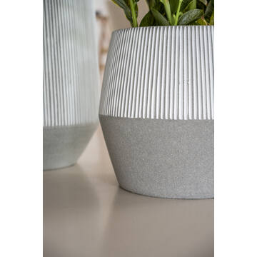 Harley L, White stripe