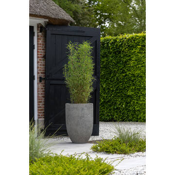 Mt. Hayes L, Diorite Grey