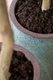 Hera L, Rustic Green