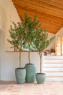 Artemis S, Rustic Green