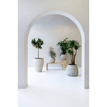 Artemis L, Chalk White