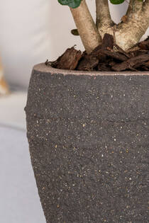 Ares S, Umber Brown