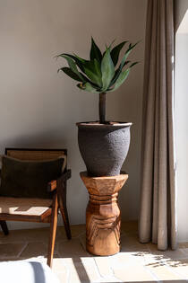 Poseidon L, Umber Brown