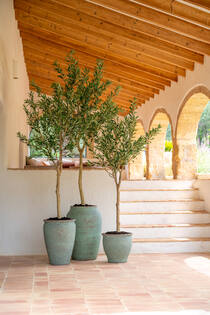 Poseidon L, Rustic Green