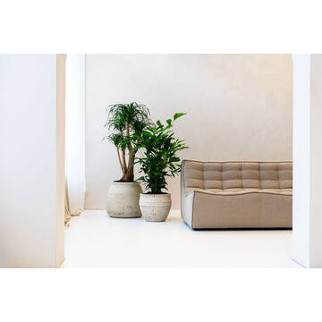 Athena M, Chalk White