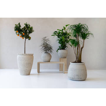 Athena L, Chalk White