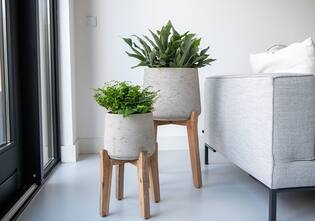 Patt XXL (Feet High), Grey Washed