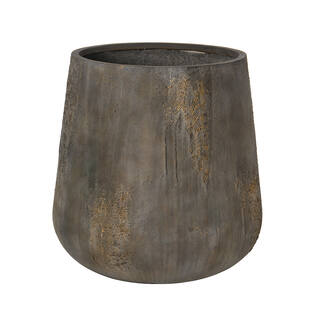 Pax M, Imperial Brown
