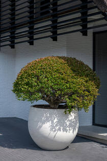 Jumbo Orb M, Ivory Washed