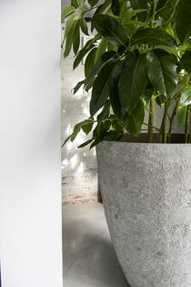 Bernd M, Imperial White