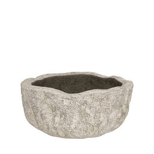 Dune M, Fossil Sand