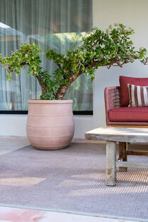 Nika L, Brick Orange