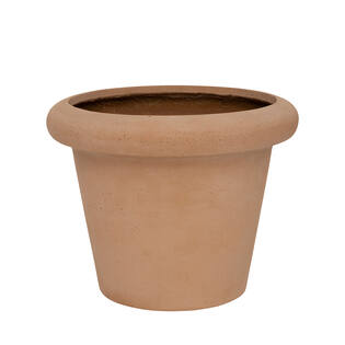Ciro M, soft clay