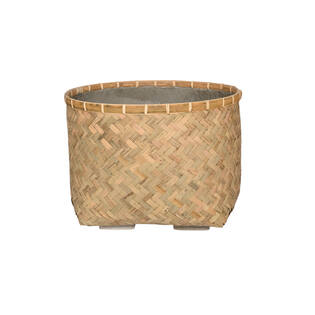 (S) Nala L, Bamboo