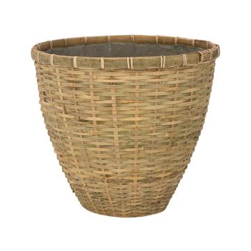 (S) Diego S, Bamboo