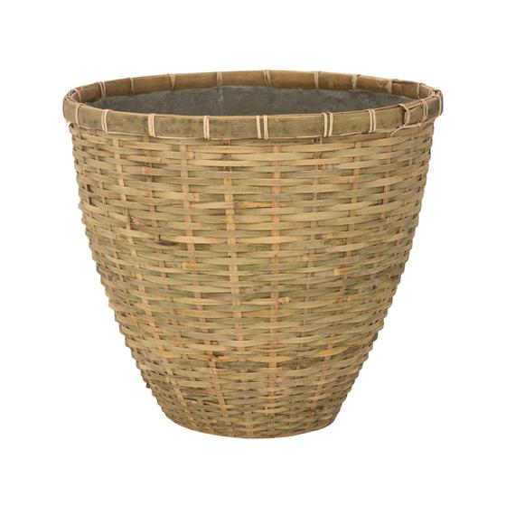 (S) Diego L, Bamboo