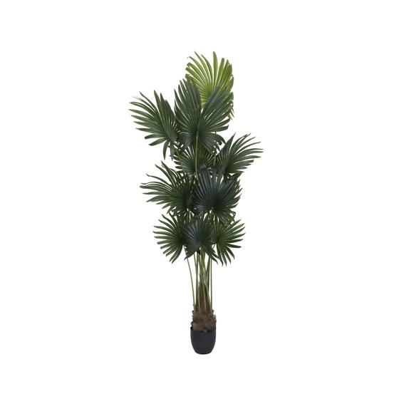 Palm tree (EU)