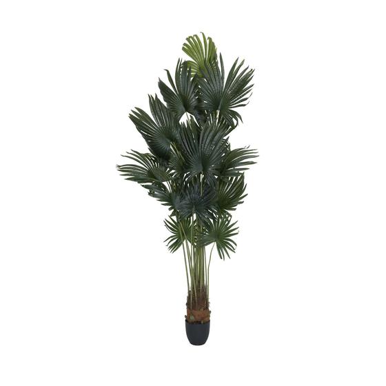 Palm tree (EU)