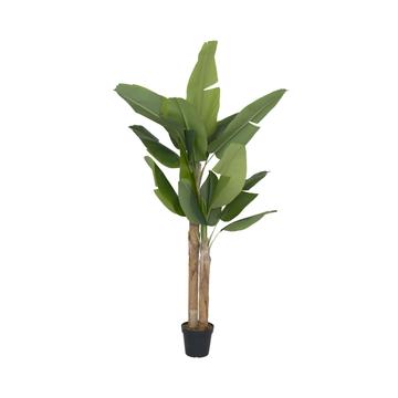 Banana tree XL, Green