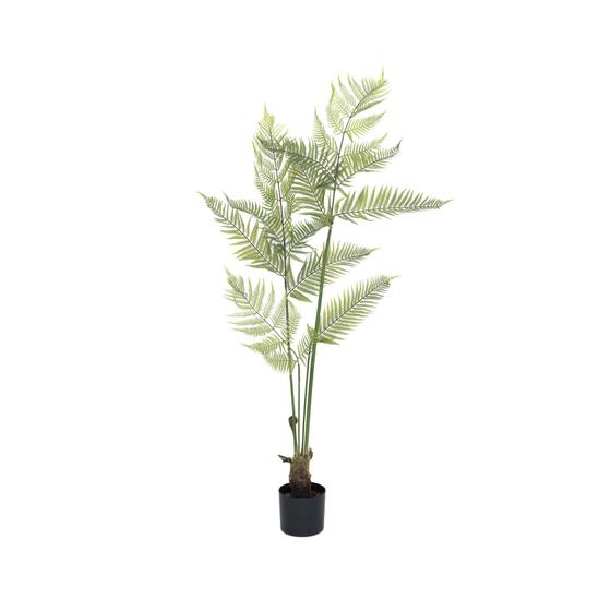 Fern EU