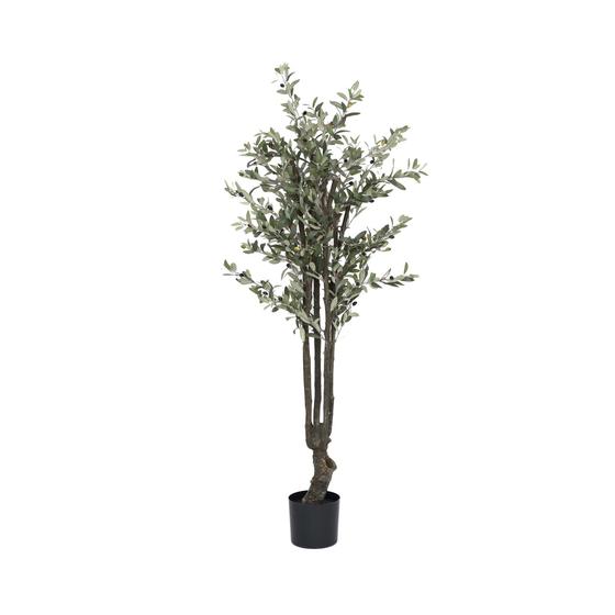 Olive Tree EU