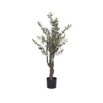Olive Tree S, Green