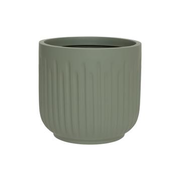 Arcus XS, Sage Green
