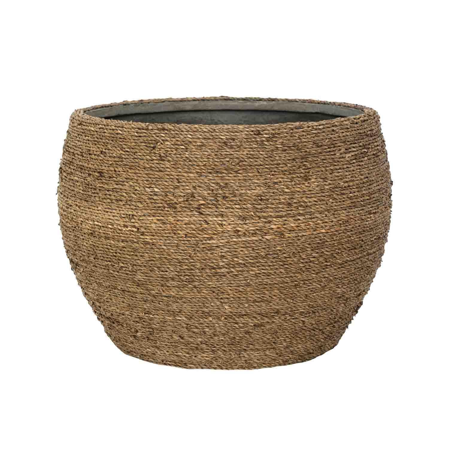 Abby S, Straw Grass