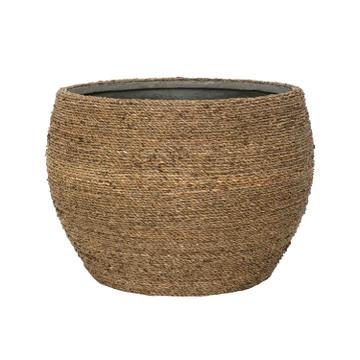 Abby S, Straw Grass