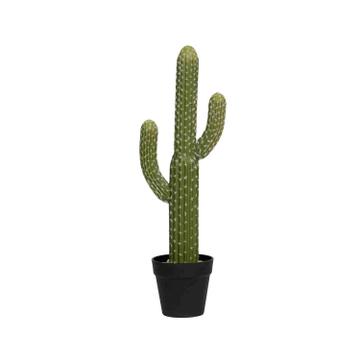 Cactus Saguaro M, Green