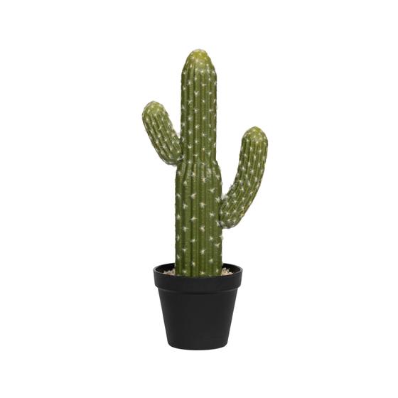 (US) Cactus Saguaro